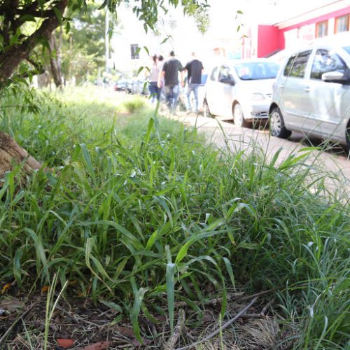 Cansados de esperar pela prefeitura, moradores fazem roçagem de mato por conta própria em Goiânia.