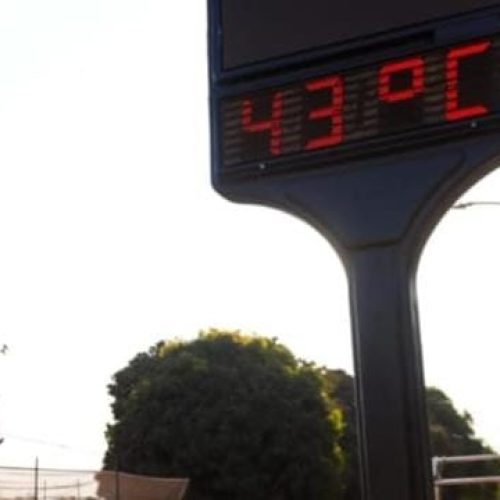 Altas temperaturas fazem do ano de 2024 o ano mais quente desde 1961.