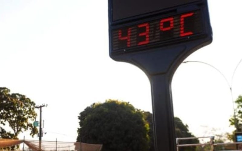 Altas temperaturas fazem do ano de 2024 o ano mais quente desde 1961.