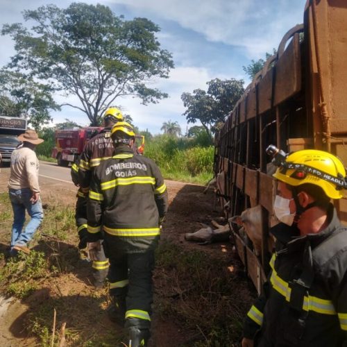 Colisão entre carro de passeio e caminhão deixa 1 morto na GO-222